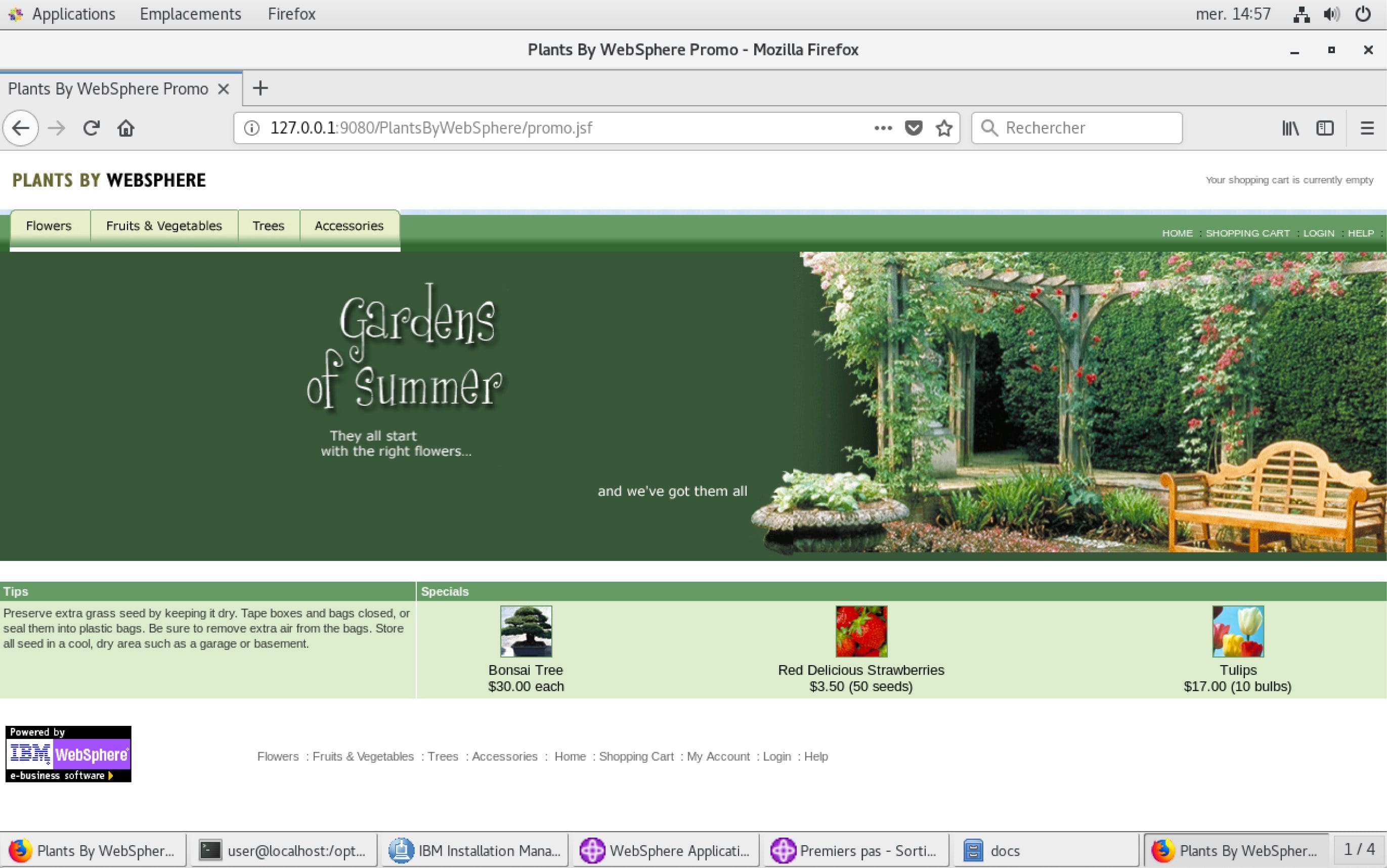 Application Plants by Websphere